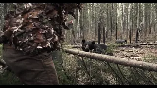 Monster Bear Shot at 3 yards!!