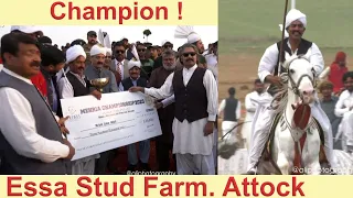 Essa Stud Farm | Mehria Championship | mahr zafar iqbal bharwana | Mehria Championship Attock 2023 |