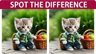 Spot The Differences Picnic & kitten