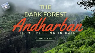 Andharban: A Journey Through Lush Green Forest and Waterfalls | अंधारबन