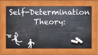 What is Metatheory? An easy explanation with example of Self determination theory