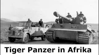 Tiger Panzer im Afrika Einsatz /sPzAbt 501 und sPzAbt 503