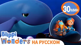 На глубине Океана🐳 | Обучающие мультики для детей | Blippi Russian