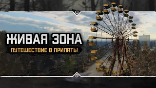 S.T.A.L.K.E.R.: ЖИВАЯ ЗОНА (ОБТ) 💥 Путешествие в Припять!