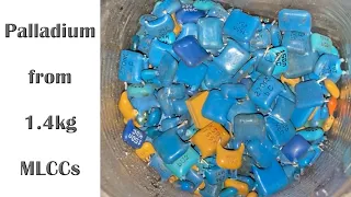 Palladium recovery from 1.4kg ceramic capacitors
