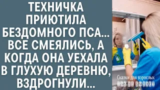 Техничка приютила бездомного пса… Все смеялись, а когда она уехала в глухую деревню, вздрогнули…