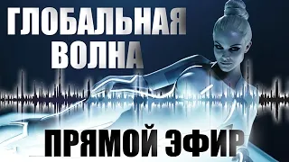 Тайна пчелиного лечебника Гребенникова :: #270217 - Глобальная Волна - The Global Wave