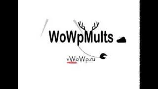 WoWpMults от vWoWp.ru - скоро взлетаем