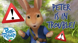 ​@OfficialPeterRabbit -  The Rabbits Rescue Peter ⚠️🐇 ⚠️  | 10+ Mins Compilation | @OctonautsandFriends​
