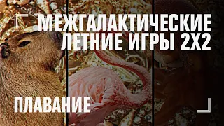 Плавание в деньгах | МЕЖГАЛАКТИЧЕСКИЕ ЛЕТНИЕ ИГРЫ 2Х2