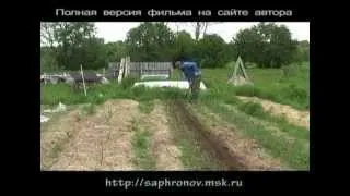 Огород 3 (свекла-чеснок) в родовом поместье. 3 часть