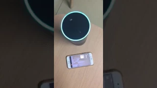 Amazon Alexa voice control Thinker