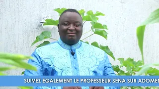 ENSEIGNEMENT ET ADOMENOU DU PROF. SENA