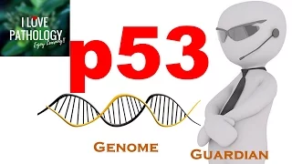 NEOPLASIA 4: p53 gene: The Guardian of the genome. functions, regulation and inactivation