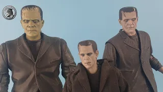 Frankenstein creature action figure collection......so far