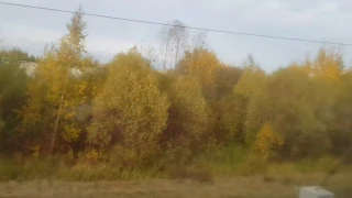 ЗОЛОТАЯ ОСЕНЬ В РОССИИ. // ОСЕНЬ В ПОДМОСКОВЬЕ//GOLDEN AUTUMN IN RUSSIA.