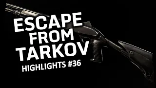 Тарков лучшие моменты со стримов #36 / Escape from tarkov highlights