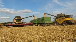 Kukorica aratás 2016 - John Deere 6930P elakadás vs. New Holland CR9090 | Corn Harvest 2016