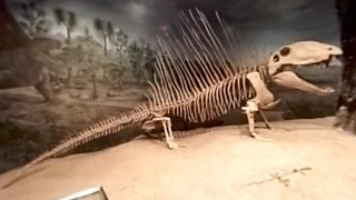 The Royal Tyrrell Museum in 360 Degrees