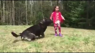 Как собака защищает ребенка / How the dog protects the child