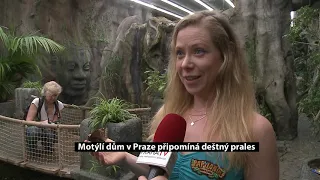 Motýlí dům v Praze připomíná deštný prales