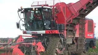 Bietenrooien met AGRIFAC EXXACT OptiTraxx  Wieringa Bedum