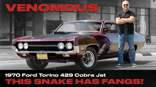 1970 Ford Torino 429 Cobra Jet: This Snake Has Fangs!