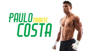 Spotlight | Paulo Costa