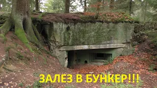 НАШЕЛ НЕМЕЦКИЙ БУНКЕР В ЛЕСУ.