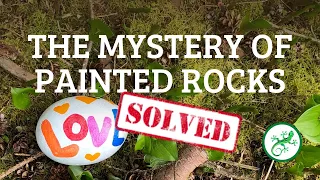 What are Painted Rocks? Why? | Kindness Rock Project | PerfectDayToPlay TV