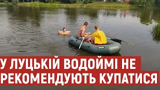 У Луцькій водоймі не рекомендують купатися: де та чому