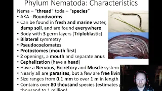 Nematoda -  General Info, Anatomy and Feeding