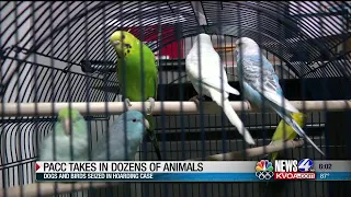 PCSD: 24 animals found dead, more than 60 removed in hoarding case