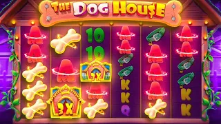 ОЧЕНЬ ДОРОГИЕ БОНУСКИ В THE DOG HOUSE MEGAWAYS ! ЗАНОСЫ НЕДЕЛИ!