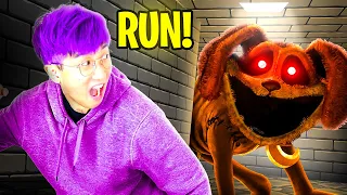 CRAZIEST SMILING CRITTERS VIDEOS EVER!? (POPPY PLAYTIME CHAPTER 4 SECRETS REVEALED!)