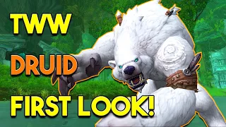 War Within Alpha: Druid Preview