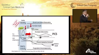 Immunoregulation During Sepsis