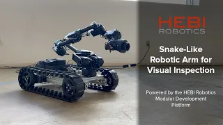 Snake-Like Robotic Arm for Visual Inspection