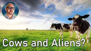 Cows and Aliens Mystery |Why are Cattle being Mutilated? | Paul Wallis