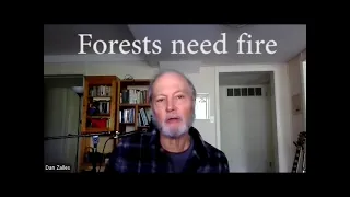 Overview of Forest Preservation and Wildfire Threat Mitigation Issues