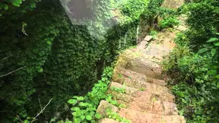 Chinese village abandoned and swallowed by nature