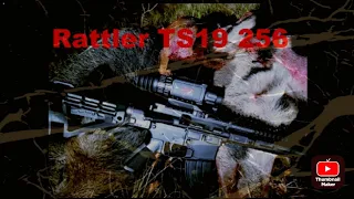 Тепловизионный прицел AGM Rattler TS19-256