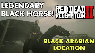 Red Dead Redemption 2 - Legendary Black Horse (Black Arabian) How To Obtain!