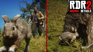 The Animal Realism in Red Dead Redemption 2 is Insane!