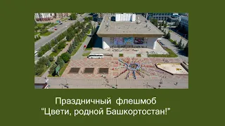 Праздничный флешмоб "Цвети, родной Башкортостан!"