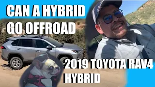 2019 Toyota Rav4 Hybrid Off Roading