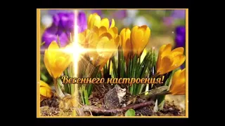 Красивое видео! Хорошего весеннего настроения!🌼🌼🌼