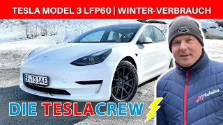⚡️ Tesla Model 3 LFP 60  | Reichweite im Winter halbiert? Test Alltagsverbrauch bei Minusgraden! ❄️