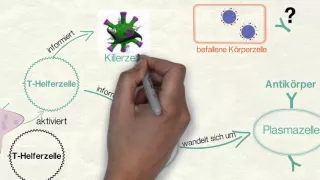 Spezifische Immunreaktion