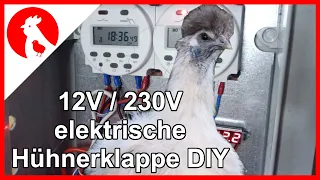 086 Elektrische Hühnerklappe 12V / 230V günstiger Eigenbau - Jensman and the Huhns